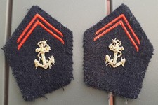 Pattes de Col brodées or Troupes Coloniales PARACHUTISTE RPIMA RPC BCCP RIC 2