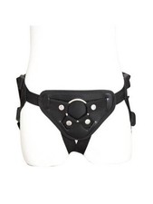 Harnais universel pour