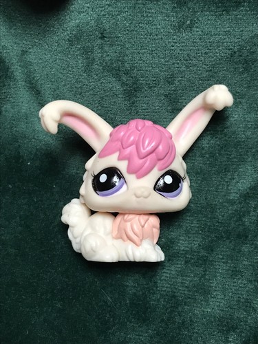 Petshop lapin angora - 💖🌺,