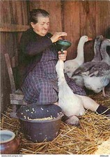 Animaux - Oiseaux - Oies - Gaveuse d'Oies - CPM - Voir Scans Recto-Verso