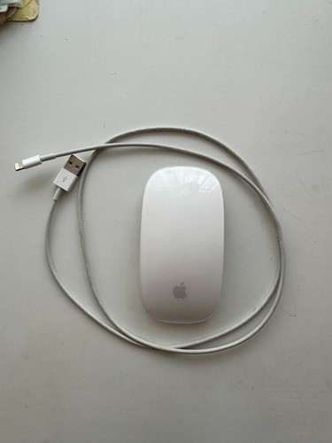 Souris apple magic - souris,