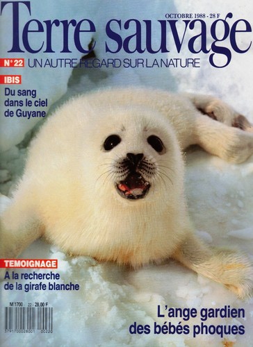 Terre sauvage nº l - 22, l'ange