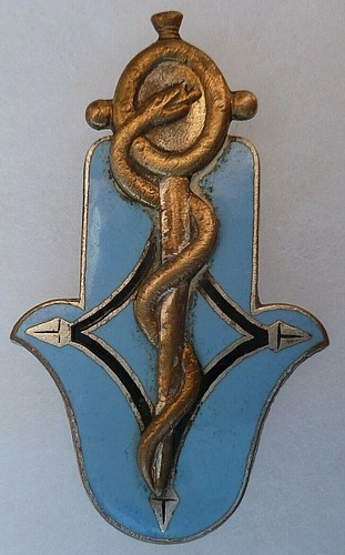 Insigne badge sahara service - badge,