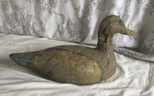Ancien Canard Appelant De