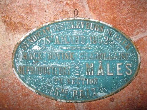Ancienne plaque concours - ancienne,