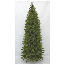 Triumph Tree Bristlecone Sapin