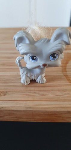 Littlest petshop 227 - petshop,