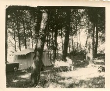 PHoto de Penchot à LIVINHAC LE HAUT le 4 août 1959 Camping en forêt