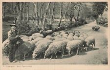 CP BERGER DES PYRENEES - MOUTONS - 22918