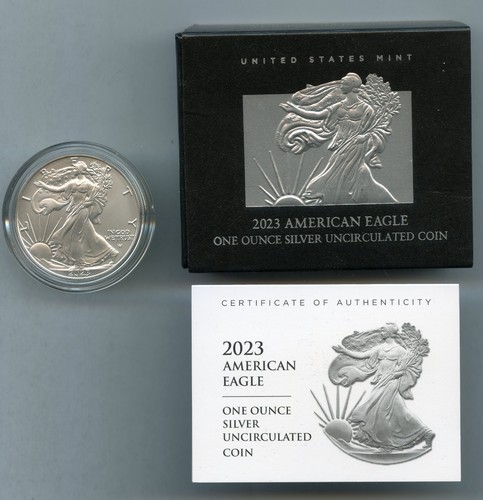 2023 american eagle - eagle, argent