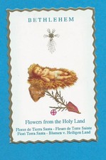 IMAGE PIEUSE RELIQUE  FLEURS  SECHEES BETHLEHEM TERRE SAINTE  CRECHE JESUS