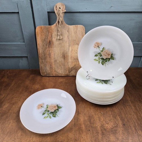 Lot assiettes arcopal - de,