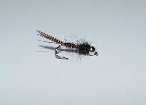 Nymphes bille tungstène t - tungstène,
