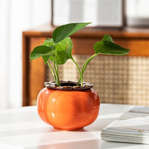 Pots hydroponiques kaki vases - pots,