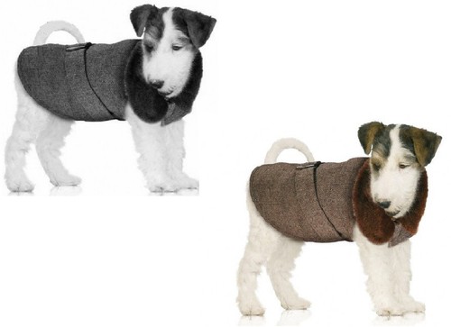 Manteau hiver tweed chien - manteau,