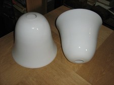 UNE GRANDE TULIPE OPALINE