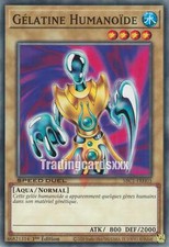 Yu-Gi-Oh! Gélatine Humanoïde : C SBC1-FRH03
