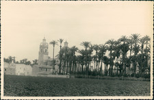 Espagne, Clocher parmi les palmiers, ca.1952, Vintage silver print Vintage silve