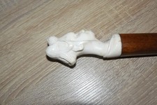 Belle canne Africaine