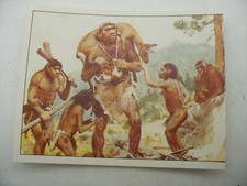 Stikers album PANINI 1992 immage Animaux Prehistorique Prehistoric Vignette #179