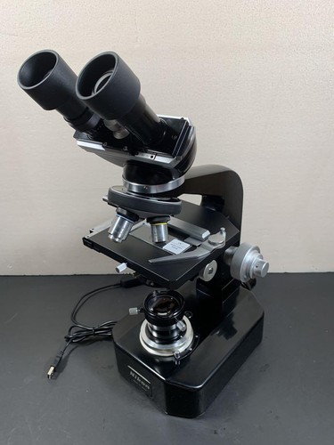 Microscope binoculaire