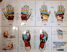 REFLEXOLOGIE PLANTAIRE et PALMAIRE - Tableau explicatif - 55x48 cm