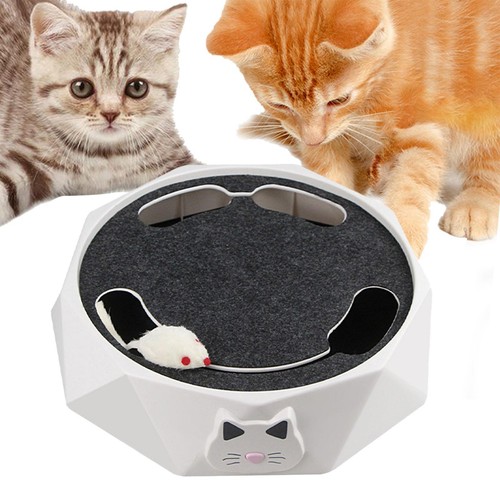 Jouet interactif pour - , chat