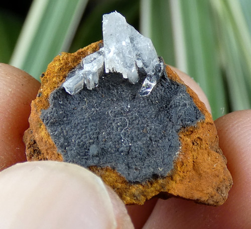 Micro mineral gypse - micro, &