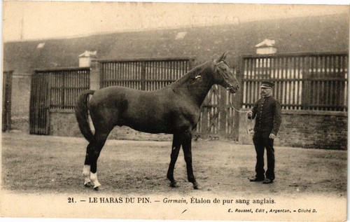 Cpa haras pin germain - haras-du-pin,