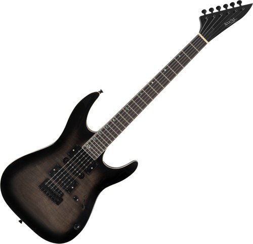 Guitare electrique cordes 24 - cordes,