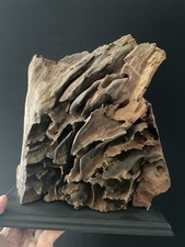 Décoration D’Intérieur