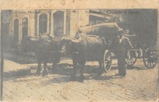 CPA GRECE SALONIQUE CHARETTE A BOEUFS