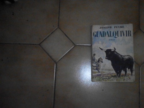 Peyre joseph guadalquivir - peyre,