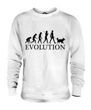 Colley Évolution De Homme