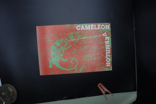 Caméléon vermillon les - vermillon,