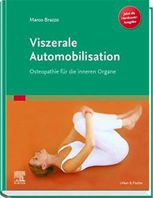 Viszerale automobilisation - viszerale,
