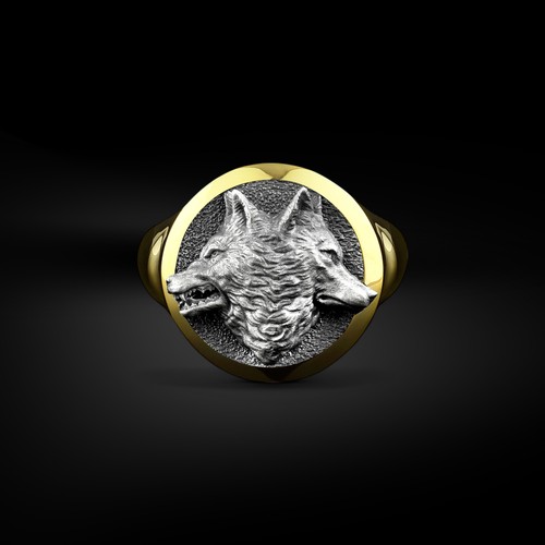 Bague chevalière homme - , en