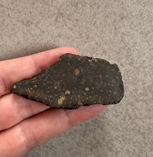 Meteorite chondrite ck5 nwa - meteorite,
