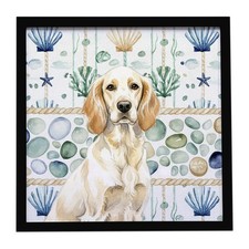 Lemon Belton English Setter