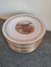 12 Assiettes Plates Limoges. Porcelaine Motif Oiseaux Vintage