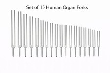 🧬 Humain Orgue Tuning