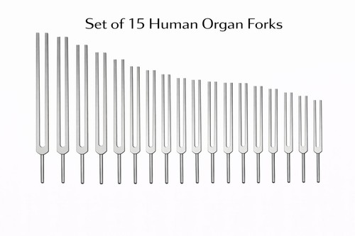 Humain orgue tuning - orgue,