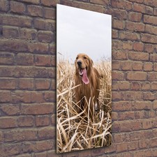 Tulup Tableau Sur Verre