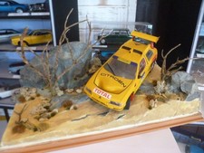 DIORAMA  RALLY RAID 1/18