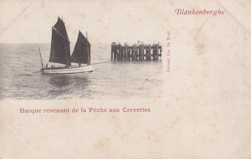 Carte postale postcard - 🦬carte, /