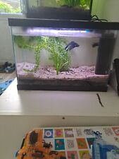 Aquarium de 13l en Très Bon État Avec Betta Splendens, Filtre, Lumière,Chauffage