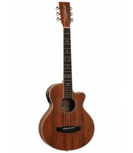 Guitare folk electro - folk,