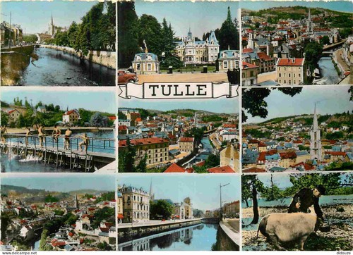 Carte postale tulle - 19,