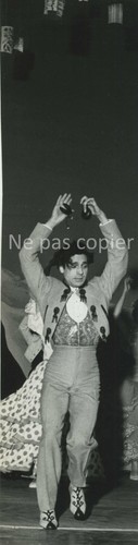 Flamenco danseur spectacle - flamenco,