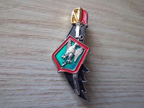 Insigne 7éme régiment - insigne,
